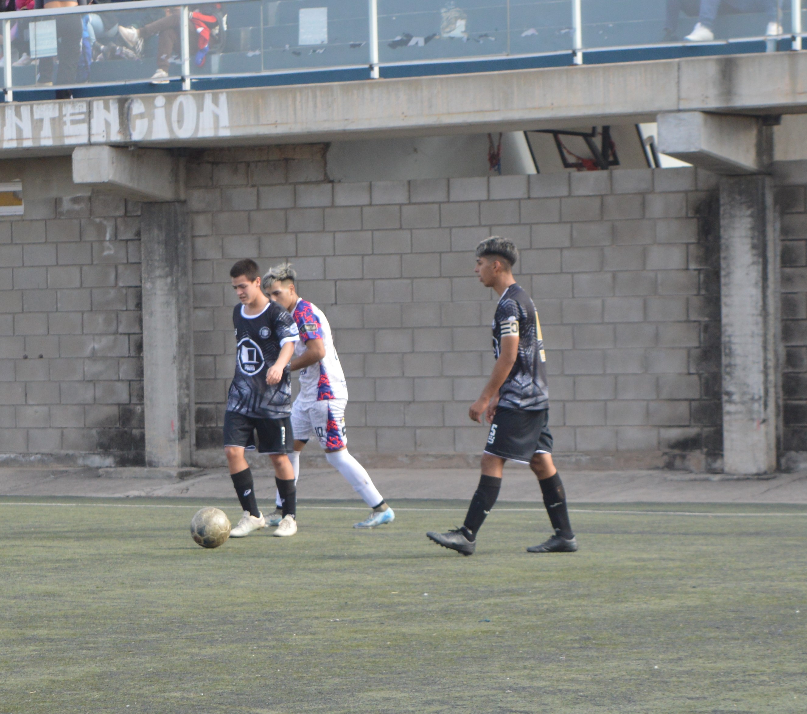 Imagen 3